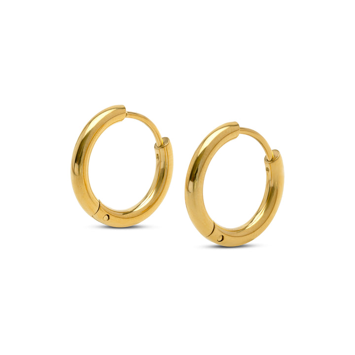 Hollie - Örhängen med ring 21mm Rostfritt stål