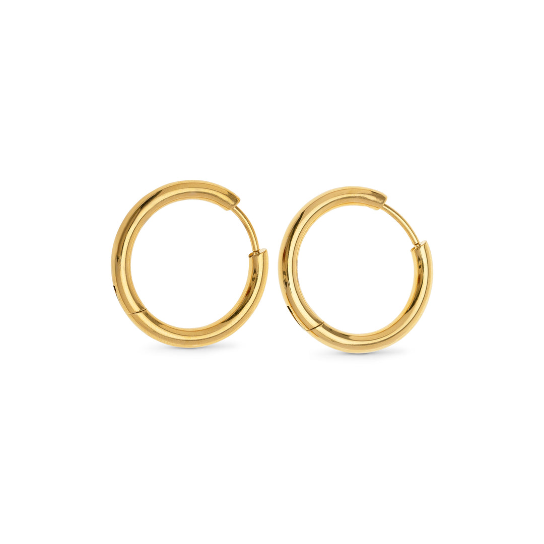 Hollie - Örhängen med ring 21mm Rostfritt stål