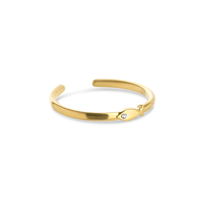 Aruba - Fish Ring Stainless Steel