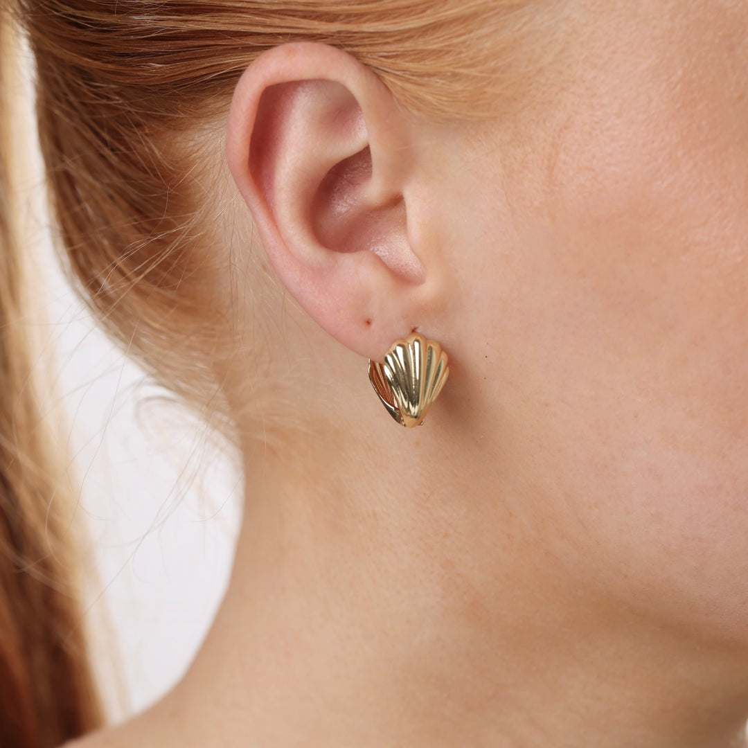 Harlowe - Shell Earrings