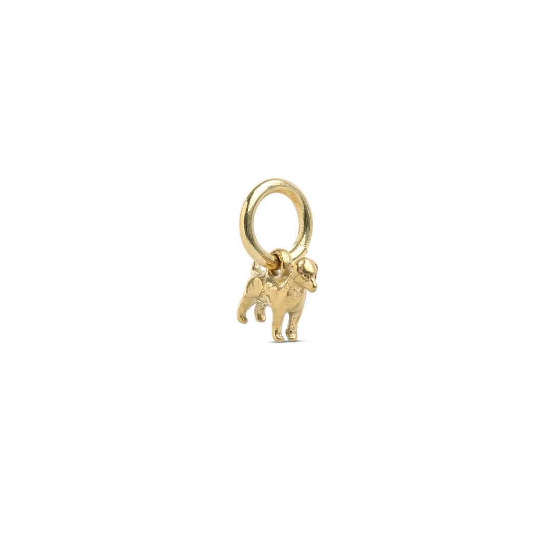 Roya - Hund Charm Rostfritt Stål