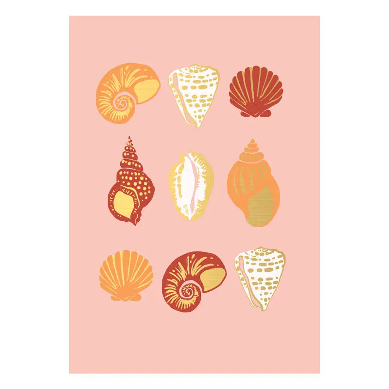Sea Shells Postcard